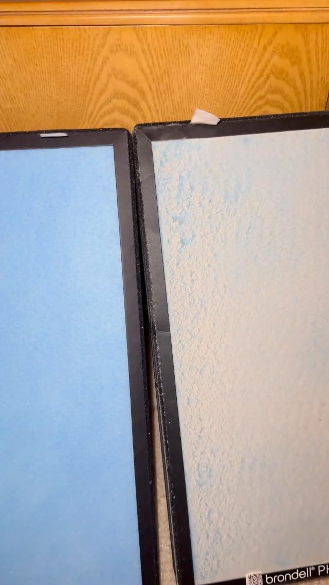 Brondell Air Filter Replacements review
